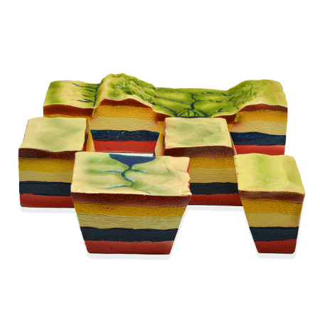 Модель «Движение океанических плит»